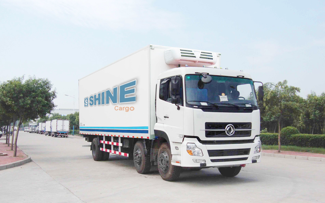 shine-cargo-Frozen Food